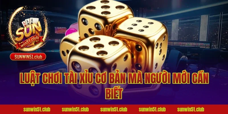 Luật Chơi Tài Xỉu Cơ Bản Mà Người Mới Cần Biết